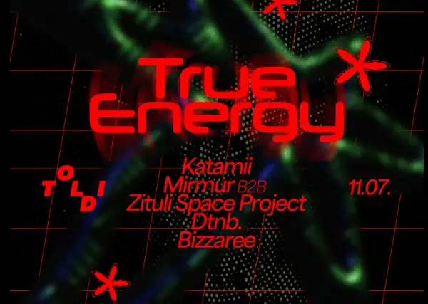 True Energy // TOLDI